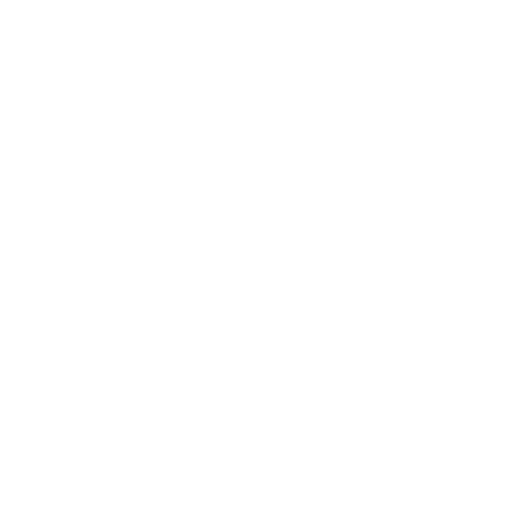 LOGO_N_NAOS_INTERNOUNO